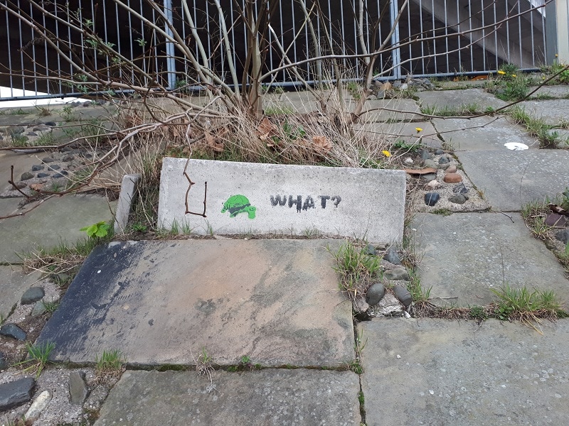 Chester Tortoise Graffiti. Garden Lane Underpass, 23/3/19