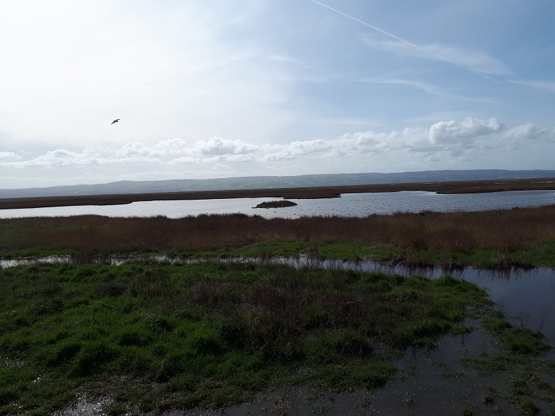 Parkgate Marshes, looking west across the Dee Estuary towards Wales. 23/3/19.