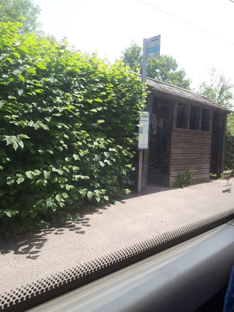 A cute bus shelter, somewhere near All Stretton, taken from the 435 bus. 28/6/19