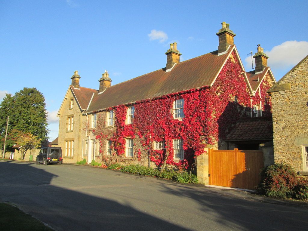 Hutton Buscel manor house with red ivy all over it. Image courtesy of the excellent geograph.org.uk