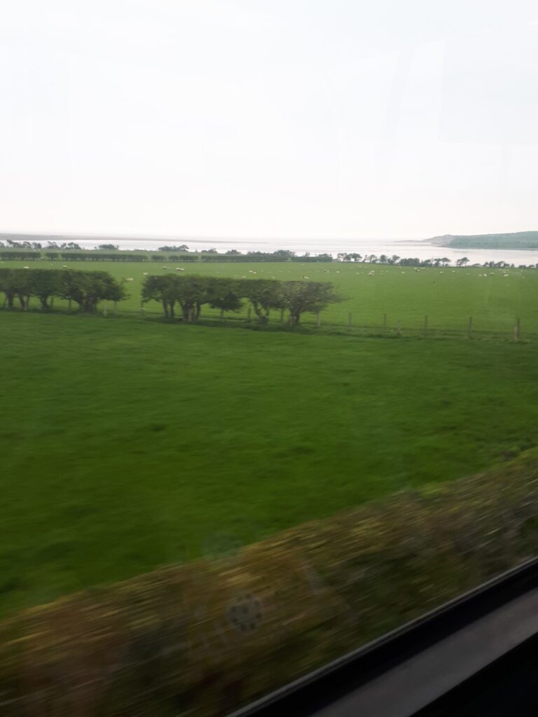 Northumberland countryside from the X18 'Coast & Castles' bus. 1/5/19