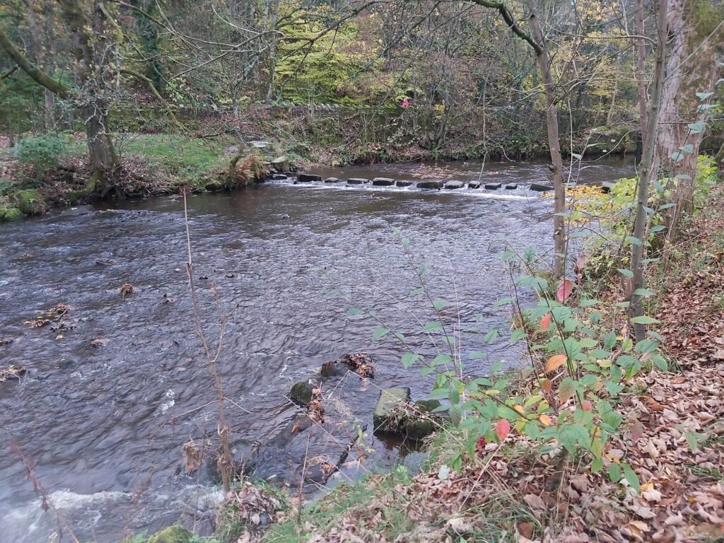 Stepping stones across the River Tame in Uppermill. 11/11/22
